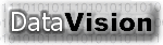 DataVision Logo